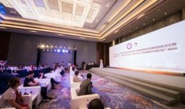 济南世界杯爆料新闻,精彩瞬间与幕后故事抢先看